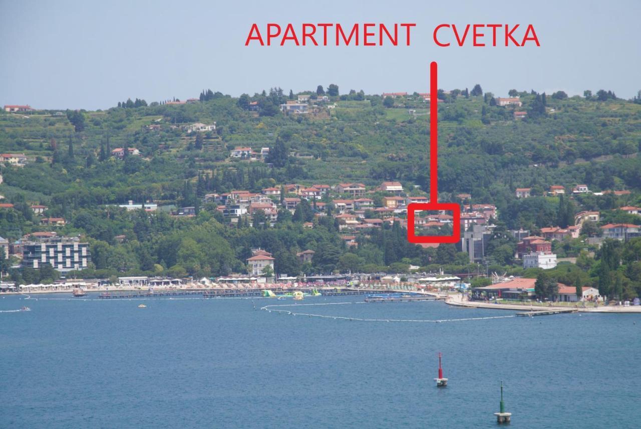 Apartment Cvetka 波尔托罗 外观 照片
